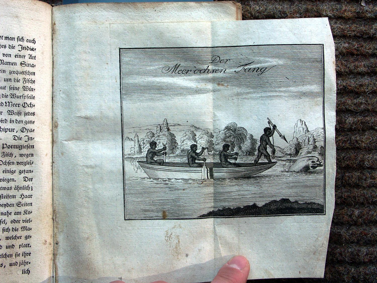 zz-barr50,s.118a guayana boot und paddel